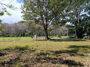Se Vende Lote en Puerto Jiménez en Puerto Jiménez, Golfito, Puntarenas — 40 000 000 ₡ - Foto 5 de 10