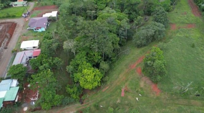 Venta de terreno  en Pocosol, San Carlos, Alajuela — ₡ 100 000 000
