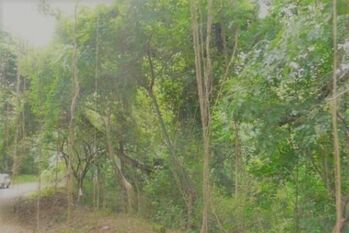 Venta de Lote en Garabito, Puntarenas. RAH 25-818 PLAYA BAJAMAR en Jacó, Garabito, Puntarenas — $180,000 - Foto 5 de 6