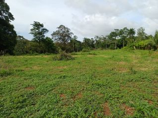 VENTA DE LOTE USO DE SUELO MIXTO, HEREDIA, SARAPIQUI, HORQUETAS in Puerto Viejo, Sarapiquí, Heredia — 40 000 000 ₡ - Photo 3 of 6