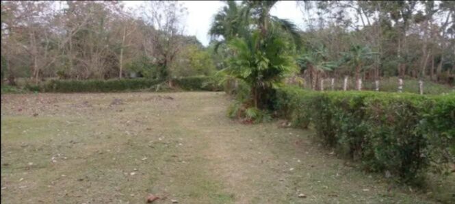 OFERTA - LOTE SAN ISIDRO DE PEÑAS BLANCAS en Peñas Blancas, San Ramón, Alajuela — ₡ 9 500 000