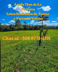 Se venden Lotes con EXCELENTE vista al Volcán Arenal en La Fortuna, San Carlos, Alajuela — 63 900 000 ₡ - Foto 4 de 8