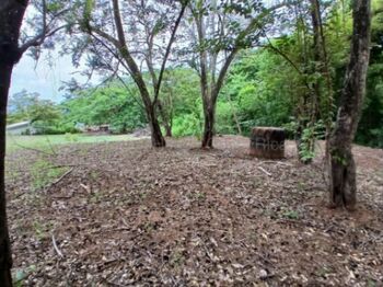 Venta de Lote en Santa Cruz-27 de Abril. RAH 26-2209 en Veintisiete De Abril, Santa Cruz, Guanacaste — $230,000 - Foto 4 de 20