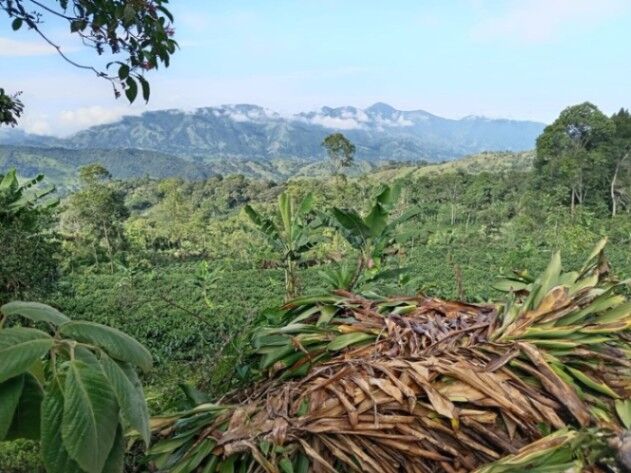 🌅Hermosa finca de 14 hectáreas con vistas al mar, agua propia y enorme potencial en Puriscal. en Barbacoas, Puriscal, San José — $720