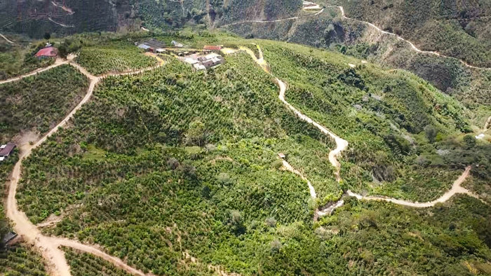Se vende Finca de café HH, San Cristóbal, Zona de los Santos (FE). in San Cristóbal, Desamparados, San José — $2,500,000 - Photo 2 of 22