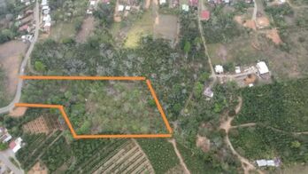 Quinta de 1.2 hectares en Quizarra, Cajon in Cajón, Pérez Zeledón, San José — $135,000 - Photo 4 of 16