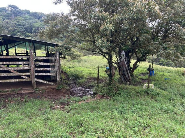 Venta de Lote en Palmital de Puntarenas. RAH 26-15 en Colinas, Buenos Aires, Puntarenas — ₡ 202 369 000 - Foto 3 de 6