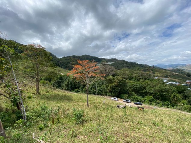 Venta de terreno en Cachí, Lago Alto in Cachí, Paraíso, Cartago — ₡ 34 000 000 - Photo 3 of 22