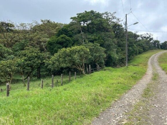 MLS-26-19 LS VENTA LOTE PALMITAL PUNTARENAS en Puntarenas — ₡ 25 775 000