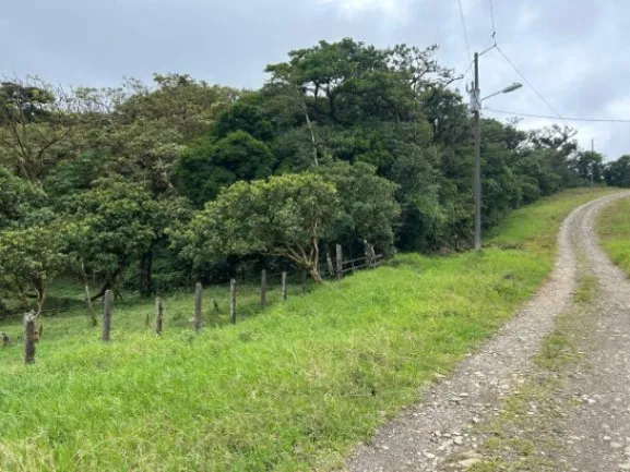 MLS-26-19 LS VENTA LOTE PALMITAL PUNTARENAS in Puntarenas — ₡ 25 775 000 - Photo 3 of 4