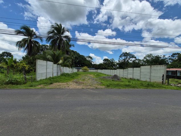 🌿 TERRENO EN VENTA EN LA COLONIA, POCOCÍ in Guápiles, Pococí, Limón — ₡ 23 000 000 - Photo 2 of 5