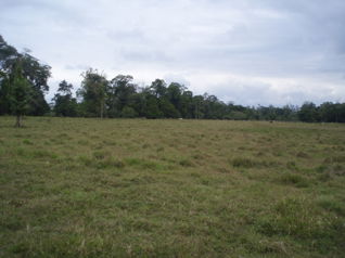Finca Ganadera en  Las  Horquetas de Sarapiqui , Heredia  . in Las Horquetas, Sarapiquí, Heredia — $6,500,000 - Photo 4 of 24