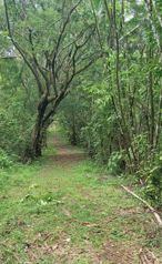 Oportunidad de inversión en Esparza, Puntarenas en Espíritu Santo, Esparza, Puntarenas — $445,000 - Foto 2 de 4