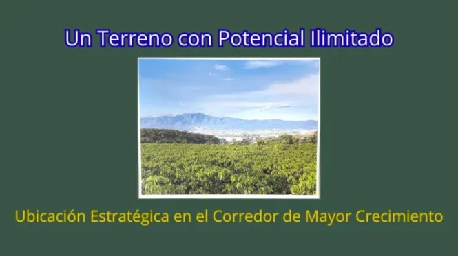 Oportunidad para Desarrolladores en San Pablo, Heredia — $7,500,000 - Foto 2 de 11
