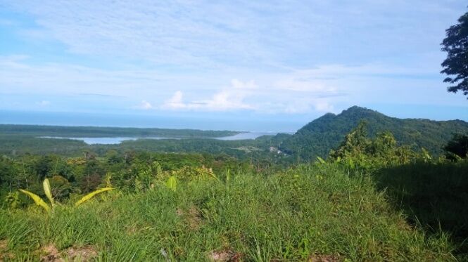 SE VENDE PROPIEDAD EN CORONADO DE OSA, PUNTARENAS en Piedras Blancas, Osa, Puntarenas — $912,000