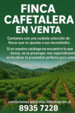 VENTA DE FINCAS CAFETALERAS  en Rincón Sabanilla, San Pablo, Heredia — ₡ 124 568