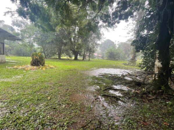 VENTA DE TERRENO l CARIBLANCO, SARAPIQUÍ l ALAJUELA l PRECIO NEGOCIABLE. in Sarapiquí, Alajuela — ₡ 85 000 000 - Photo 2 of 11