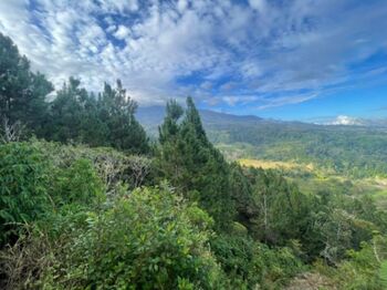 Finca con Proyecto de Reforestación en Santa Cruz, Turrialba, Cartago — $150,000 - Foto 4 de 8