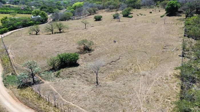 Venta de finca en Nicoya Guanacaste 2 hectáreas en Nicoya, Guanacaste — ₡ 79 000 000 - Foto 2 de 14