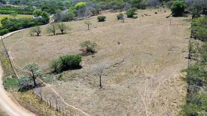 Venta de finca en Nicoya Guanacaste 2 hectáreas en Nicoya, Guanacaste — ₡ 79 000 000 - Foto 2 de 14