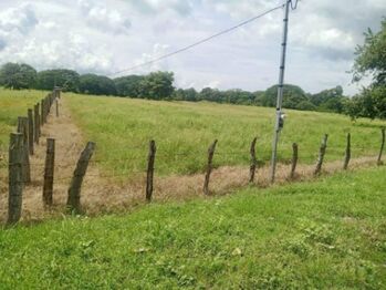 Se vende amplio lote de 4.8 hectáreas en Liberia Guanacaste 25-559 en Nacascolo, Liberia, Guanacaste — $4,857,500 - Foto 5 de 22