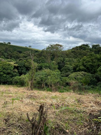 Lot For Sale In San Juan De Grecia, Costa Rica in Grecia, Alajuela — ₡ 50 000 000 - Photo 2 of 6