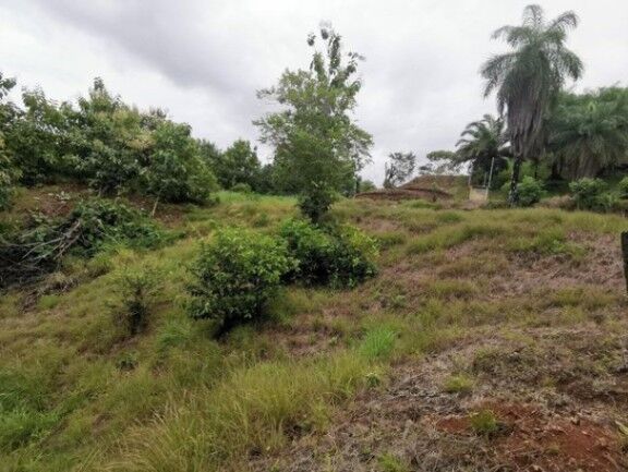 Venta de Lote cerca de la Playa en Parrita, Puntarenas. en Parrita, Puntarenas — $81,000