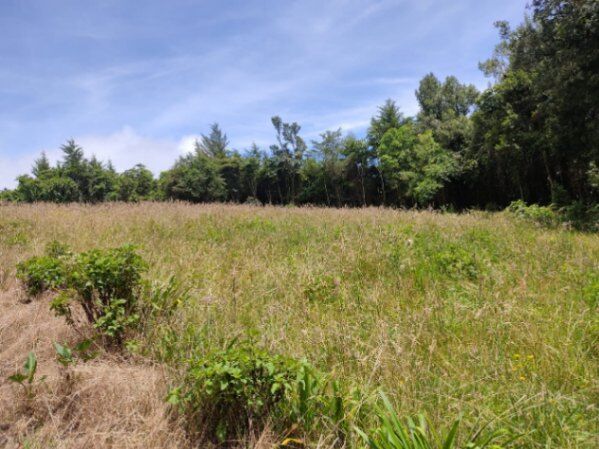QUINTAS DE 5.000 M2 EN MACHO GAFF en San Isidro, El Guarco, Cartago — ₡ 40 000 000