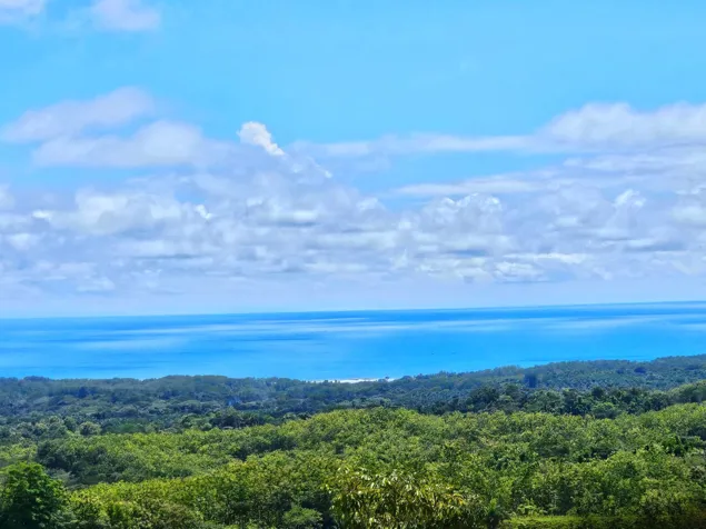 Ocean View Home in Guapinol, Parrita in Parrita, Puntarenas — $549,000 - Photo 2 of 34