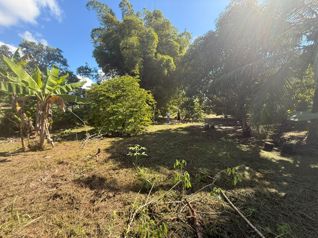 Lote increíble cerca del centro en Golfito, Puntarenas — $185,000 - Foto 4 de 9
