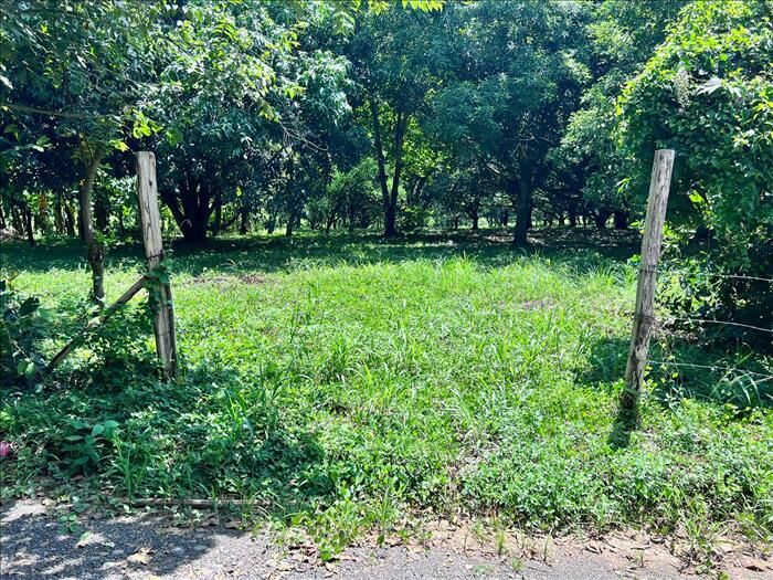 Finca Orotina Santa Rita en Coyolar, Orotina, Alajuela — ₡ 33 000 000