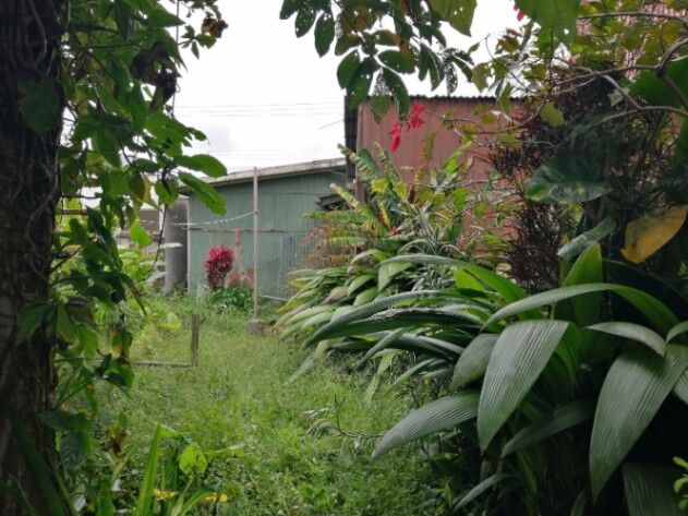 Lote cerca UCR en Guadalupe, Goicoechea, San José — ₡ 160 000 000