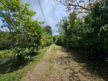 Se vende propiedad en San Isidro de Peñas Blancas, San Ramón en San Isidro, San Ramón, Alajuela — 129 200 000 ₡ - Foto 5 de 7