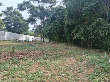 SE VENDEN BELLÍSIMAS PROPIEDADES EN ESCOBAL DE ATENAS.  en Escobal, Atenas, Alajuela — 35 000 000 ₡ - Foto 4 de 4