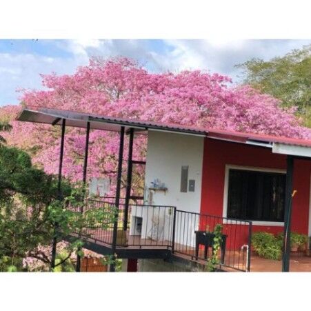 VENTA DE CASA AMUEBLADA, ALAJUELA OROTINA, CONDOMINIO CASA DE CAMPO  en Orotina, Alajuela — $595,000