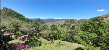 OPORTUNIDAD!! Se Vende Finca de 15,000 m²  in Guayabo, Mora, San José — 139 000 000 ₡ - Photo 5 of 5