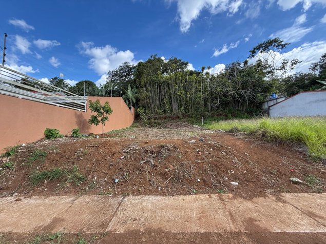 Venta de lote en Buenos Aires de Palmares en Palmares, Alajuela — ₡ 24 750 000 - Foto 3 de 13