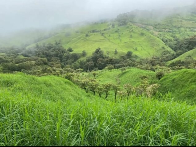 SE VENDE BELLA Y ÚTIL FINCA LECHERA EN SAN RAMÓN DE ALAJUELA. en Ángeles, San Ramón, Alajuela — ₡ 750 000 000