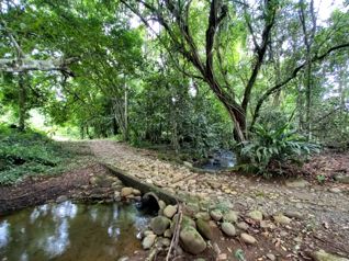 Finca con nacientes y río en La Unión de San Pedro, Pérez Zeledón