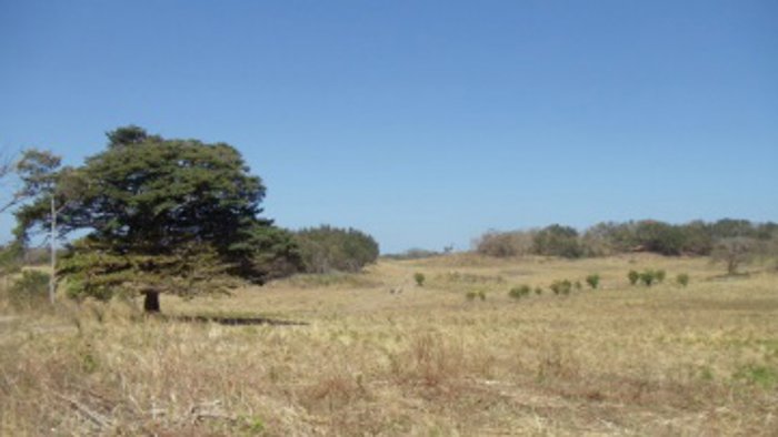 FINCA DE 398 HA EN LAS ALTURAS DE LIMONAL BAGACES en Bagaces, Guanacaste — $1,300,000 - Foto 2 de 9