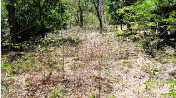 Lote en venta en Guanacaste cerca de Playa Panamá – 1.180 m² listo para construir en Sardinal, Carrillo, Guanacaste — $63,000