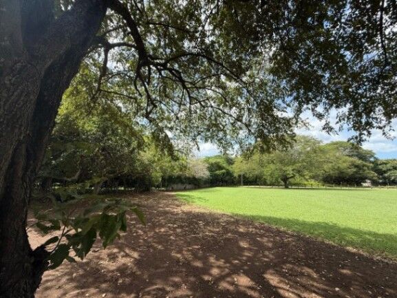 MLS-26-869 LS VENTA LOTE CARRILLO GUANACASTE en Sardinal, Carrillo, Guanacaste — $1,429,700