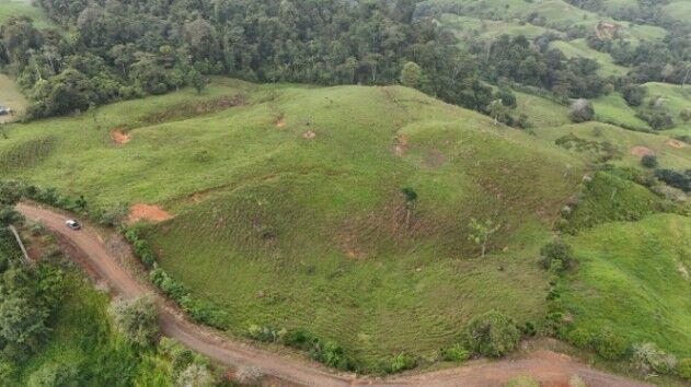 Finca de 56 hectares en San Marcos de Baru, Perez Zeledon. en Barú, Pérez Zeledón, San José — $699,999