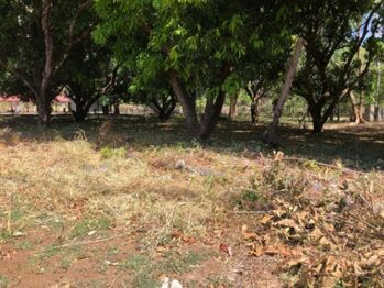 Venta de Lote en Playa del Coco, Guanacaste.  en Sardinal, Carrillo, Guanacaste — $690,750 - Foto 5 de 9