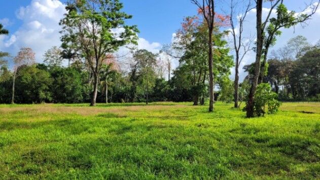 Venta de Lote en Matama de Limón. RAH 26-642 in Matama, Limón — $2,000,000