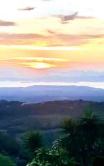 Hermosa Finca en Venta – Llano Brenes, San Ramón en San Rafael, San Ramón, Alajuela — $354,000 - Foto 5 de 29