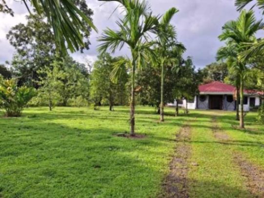 Casa con Quinta en Guápiles, Limón  en Guápiles, Pococí, Limón — $299