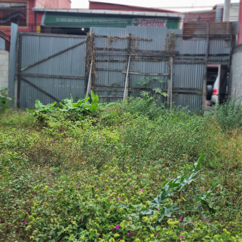 Lote en Venta de Uso Residencial,en Guadalupe,Goicoechea,3PJG10093444 en Guadalupe, Goicoechea, San José — ₡ 50 000 000