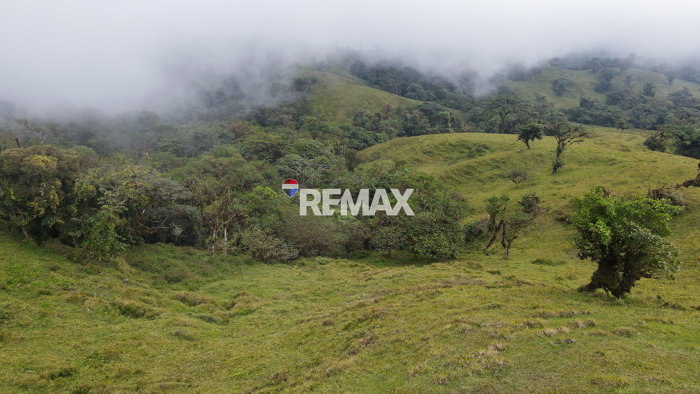 Venta de Terreno para Desarrollo en San Ramón | 56 Ha en Ángeles, San Ramón, Alajuela — ₡ 564 000 000 - Foto 2 de 22
