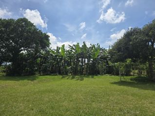 Lote en venta en Santo Domingo. Uso mixto - desarrollar. 5PVV9634224 in San Miguel, Santo Domingo, Heredia — $3,877,358 - Photo 5 of 15
